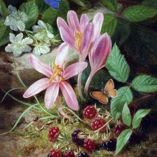 Схема вышивки «№2559309»