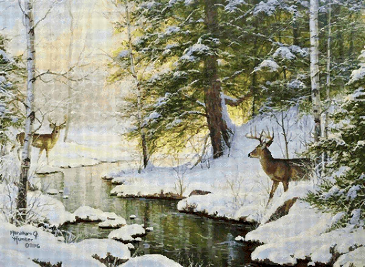 Абрахам Хантер - олени, звери, абрахам хантер, природа, олень - предпросмотр