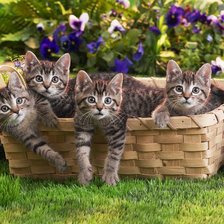 Схема вышивки «Корзина котят»