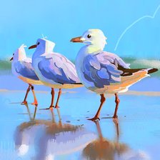 Схема вышивки «Чайки»