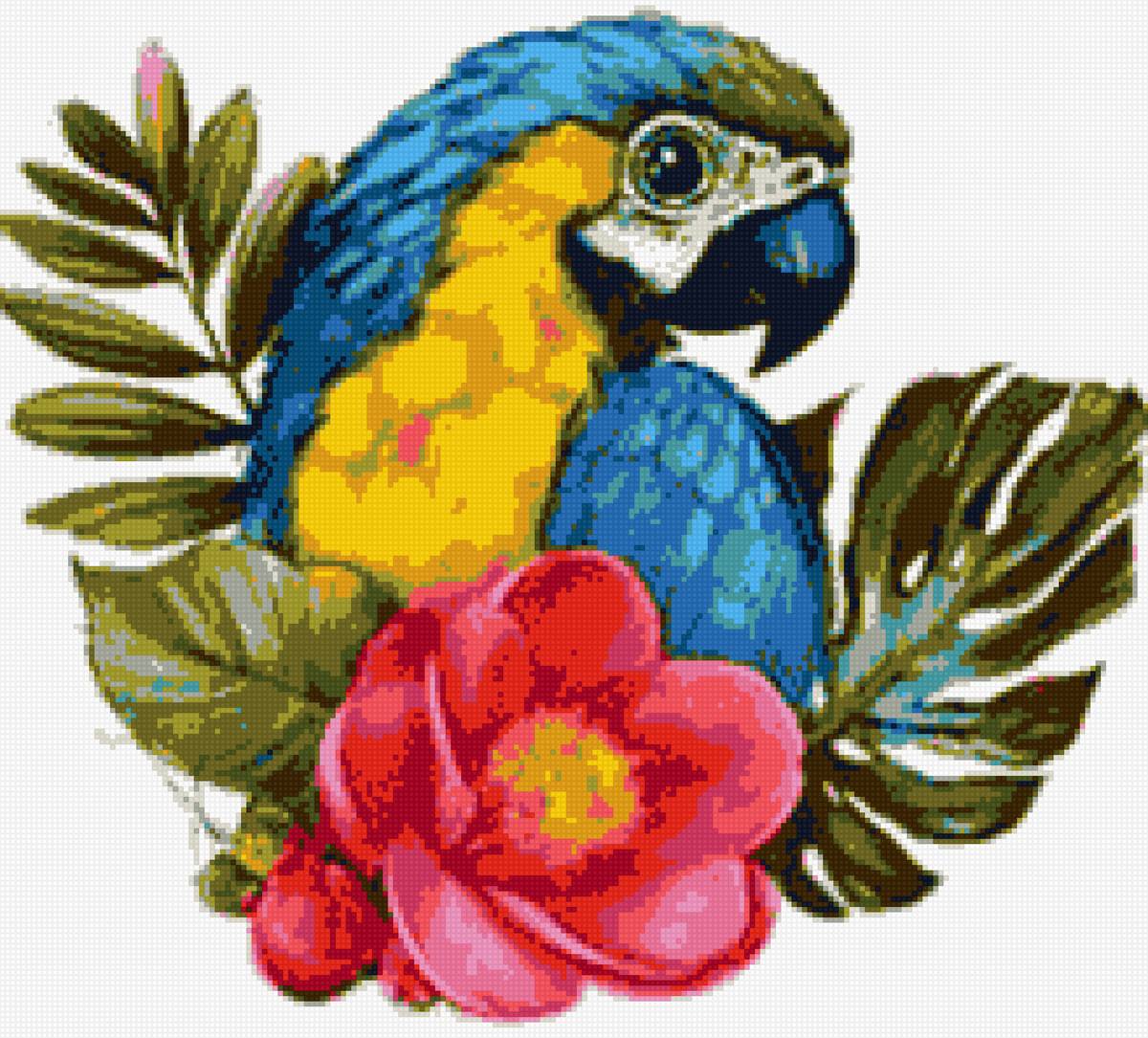 Попугай - ара, попугай - предпросмотр