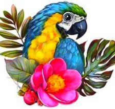 Схема вышивки «Попугай»