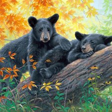 Схема вышивки «Абрахам Хантер»