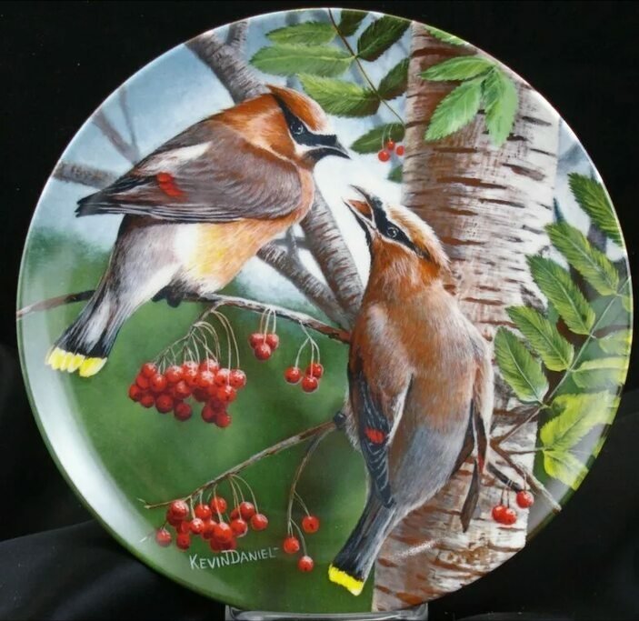 №2559593 - природа, птицы - оригинал