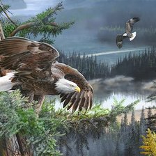 Схема вышивки «№2559615»