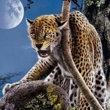 Схема вышивки «№2559652»