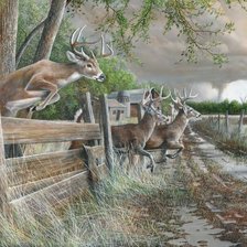 Схема вышивки «№2559658»