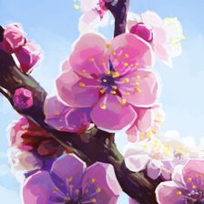 Схема вышивки «Сакура»