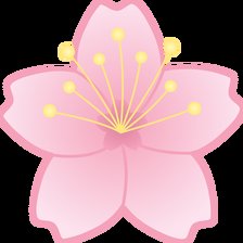 Схема вышивки «Сакура»