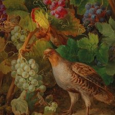 Схема вышивки «№2559997»