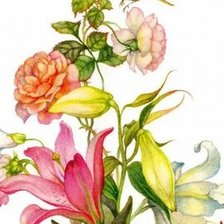 Схема вышивки «№2560179»