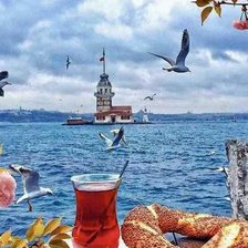 Схема вышивки «Стамбул»