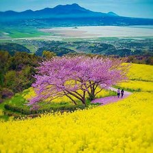 Схема вышивки «Paisaje»