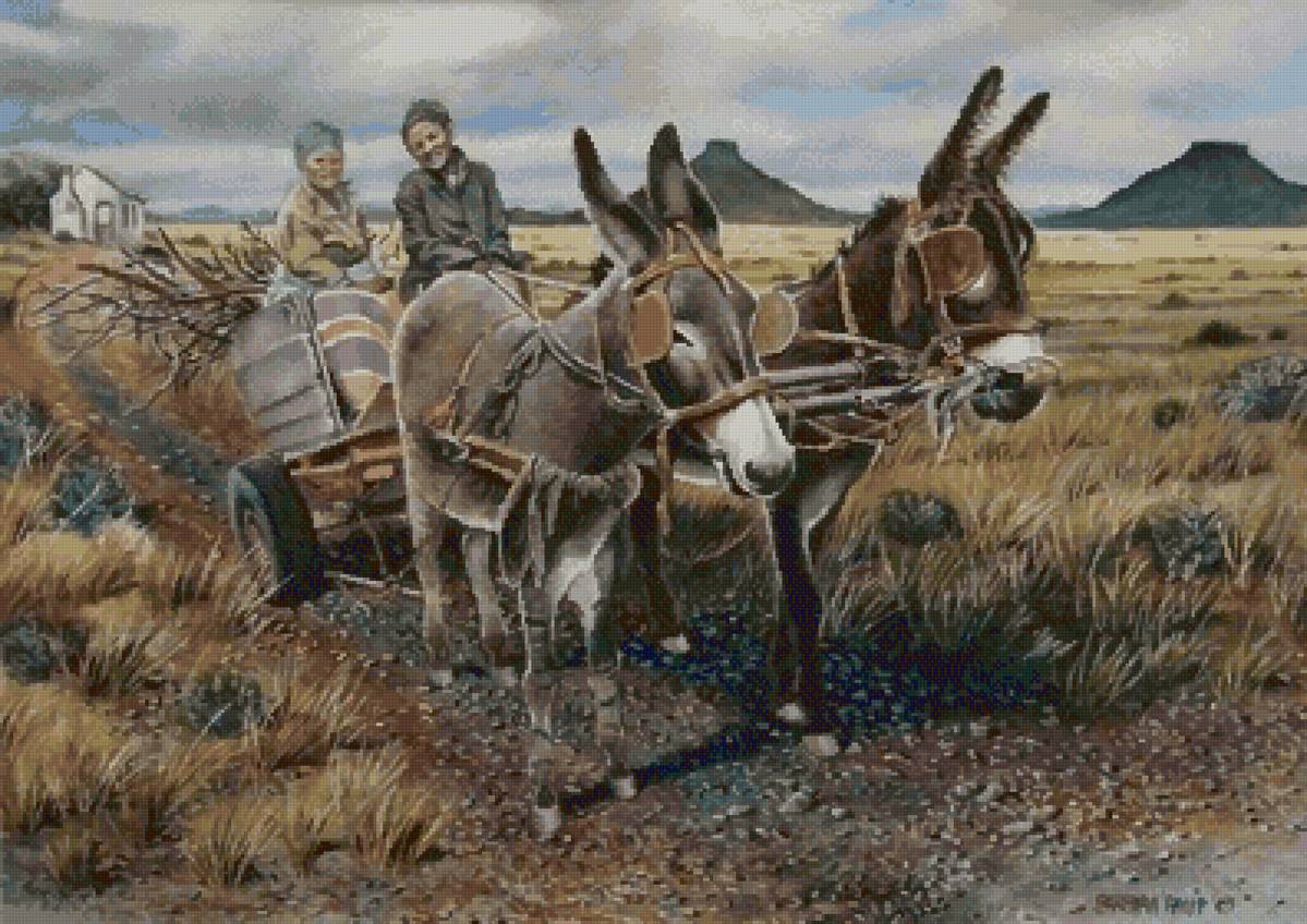 Burros - paisaje - предпросмотр