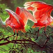 Схема вышивки «№2560466»