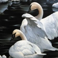 Схема вышивки «№2560487»