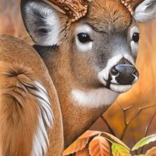 Схема вышивки «№2560491»