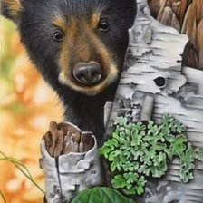 Схема вышивки «№2560496»