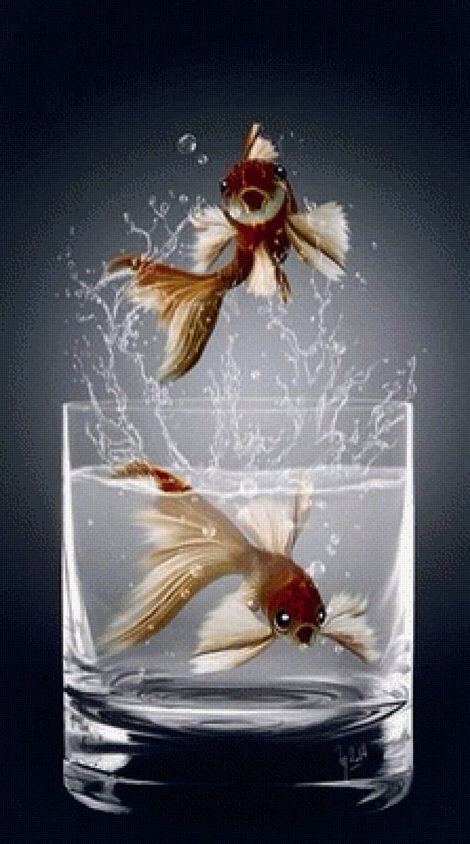 Рыбки - предпросмотр