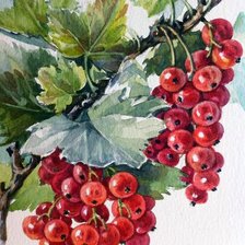 Схема вышивки «Красная смородина»