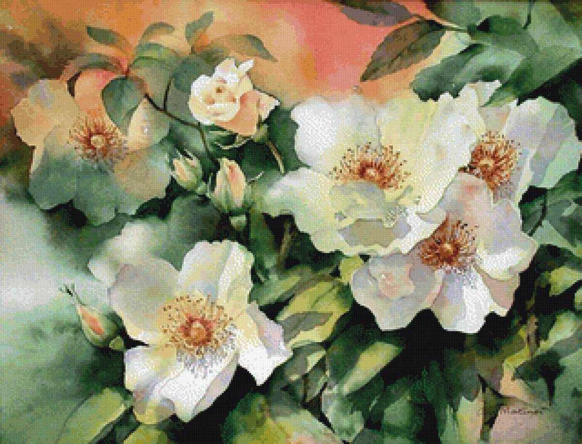 Худ. Ann Mortimer - цветы, живопись - предпросмотр