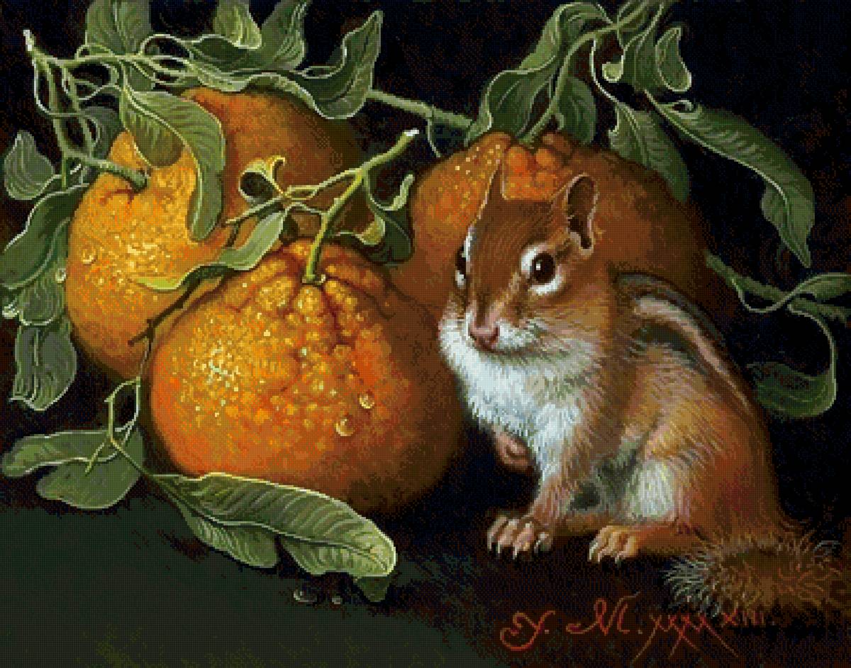 №2560697 - животные, натюрморт, грызуны, яна мовчан - предпросмотр