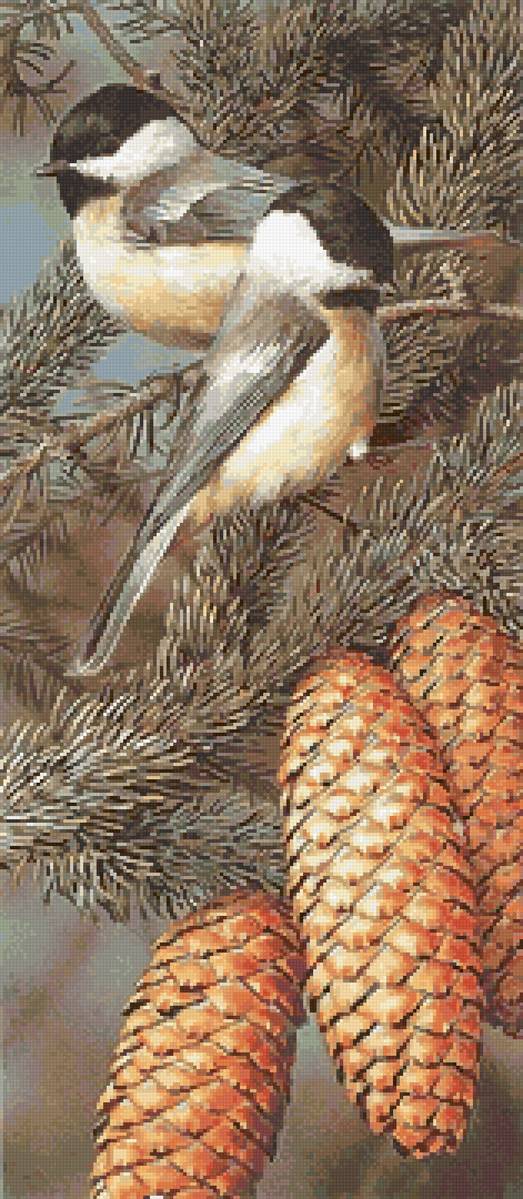 №2560746 - птицы, пара - предпросмотр