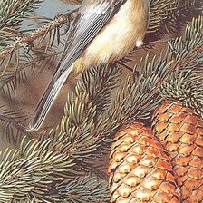 Схема вышивки «№2560746»