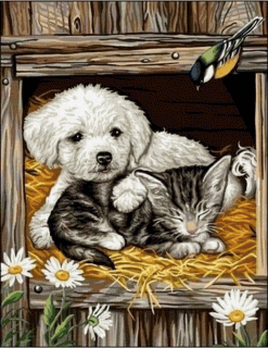 Надежная охрана - котенок, щенок, домашние животные - предпросмотр