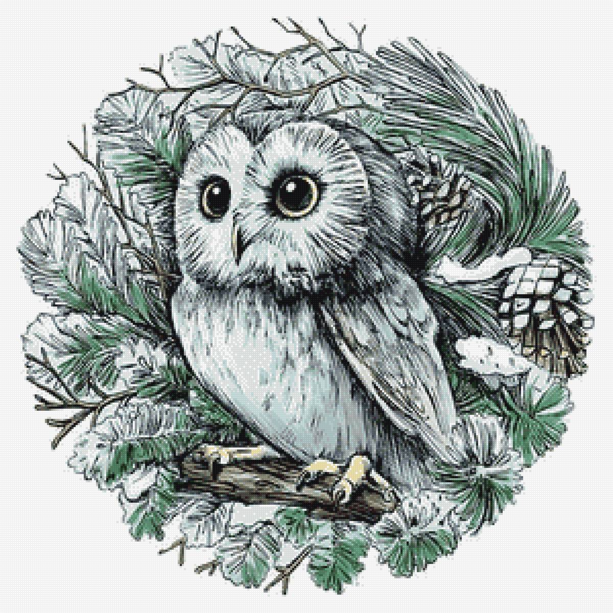 Совушка - сова, птицы - предпросмотр