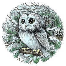 Схема вышивки «Совушка»