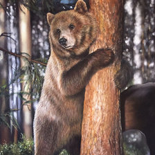 Схема вышивки «Мишка в лесу. Юлия Ермолова»