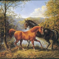 Схема вышивки «№2561236»