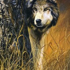 Волк. Люси Билодау