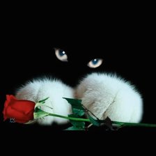 Схема вышивки «Признание»