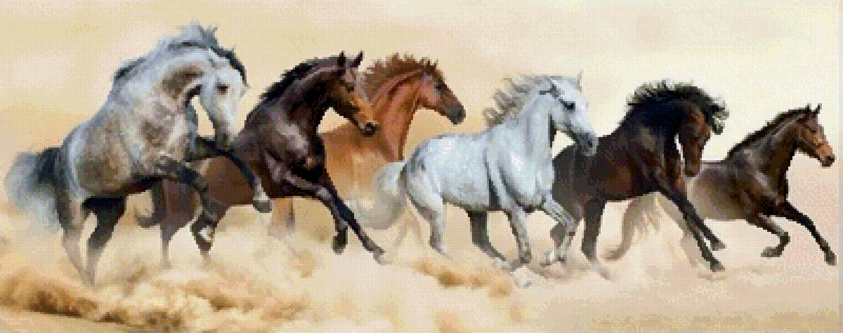 №2561748 - табун, кони, животные - предпросмотр