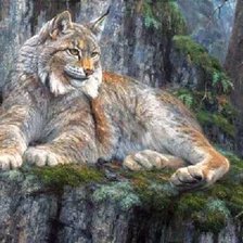 Схема вышивки «№2562036»