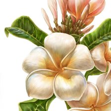 Схема вышивки «цветок»