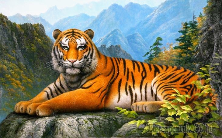 №2562475 - тигр, животные, природа - оригинал