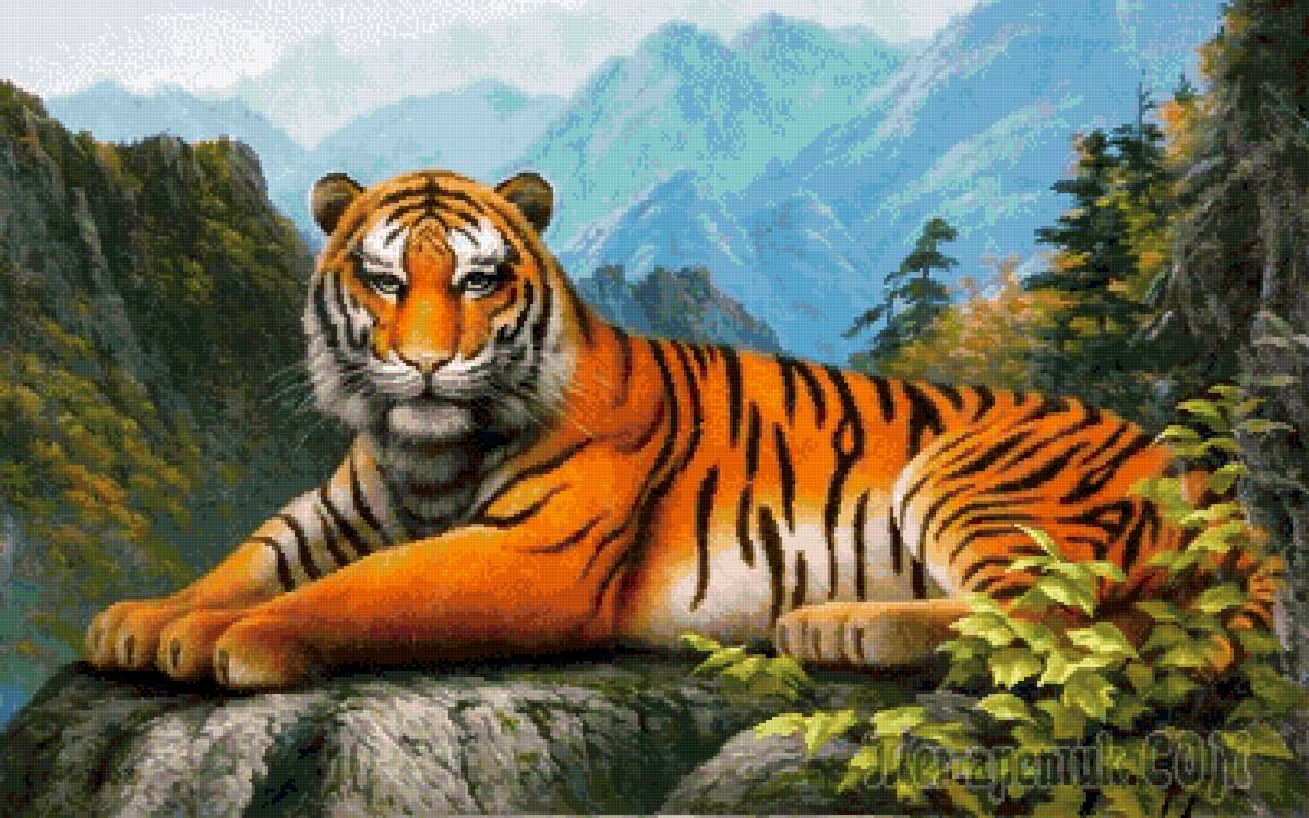 №2562475 - тигр, животные, природа - предпросмотр