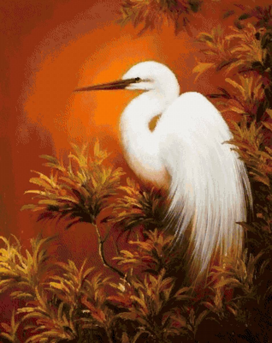 №2562543 - цапля, птицы, природа - предпросмотр