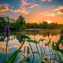 Схема вышивки «Добрый вечер»