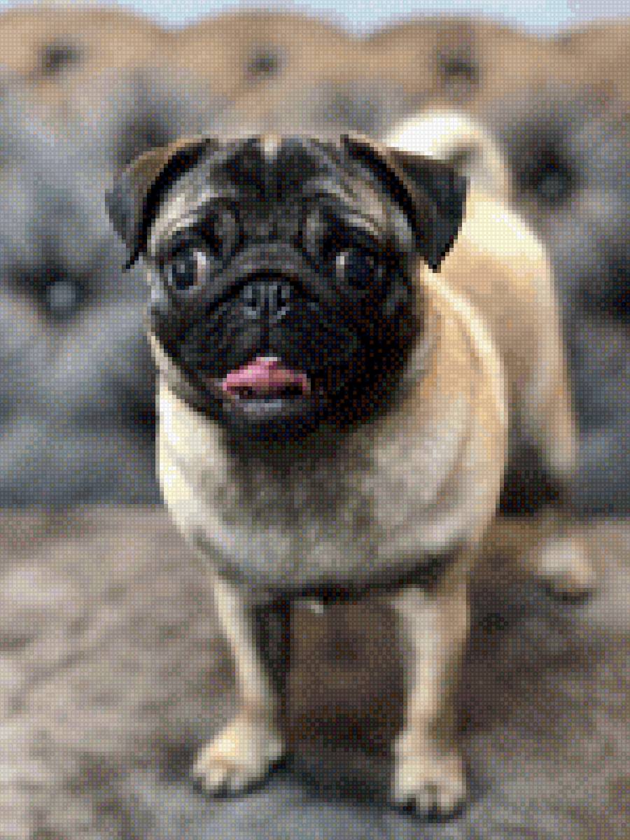 Мопсик Айми - мопс - предпросмотр