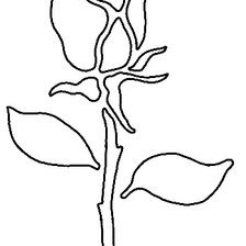 Схема вышивки «Контур. Розочка»