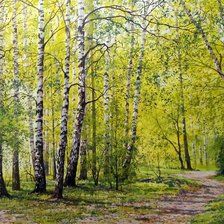 Схема вышивки «Иван Булыгин. Березы.»