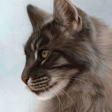 Схема вышивки «Мейн-кун»