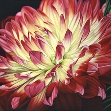 Схема вышивки «Георгин»