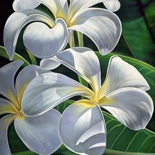 Схема вышивки «Красивый белый»