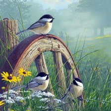 Схема вышивки «№2563133»