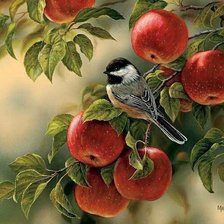 Схема вышивки «№2563135»